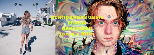 гашиш Заводоуковск